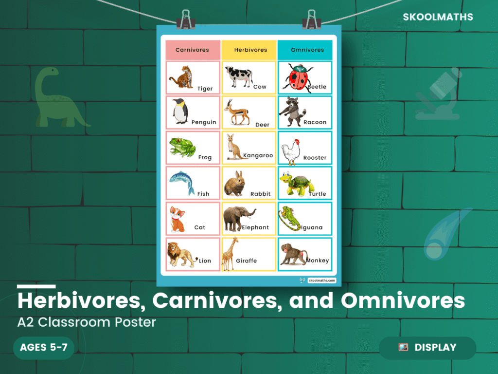 KS1 Science: Herbivores, Carnivores, and Omnivores – Animal Diets & Classification Poster and Activities