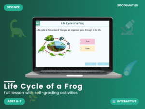 Life Cycle of a Frog