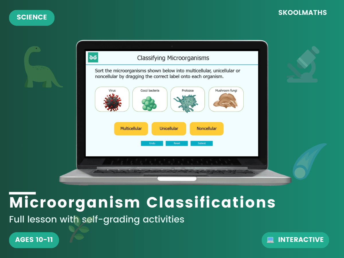 Classifying Microorganisms: Year 6 Science Interactive Biology Lesson ...