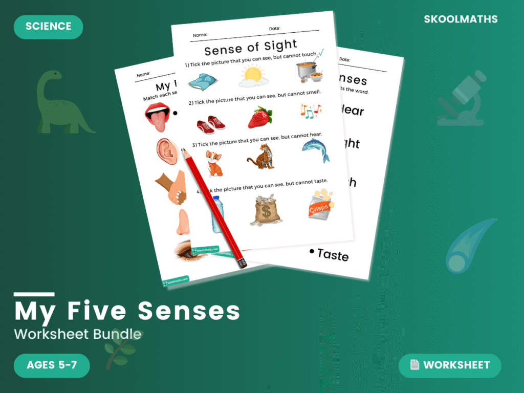 My Five Senses Worksheets with Classroom Poster