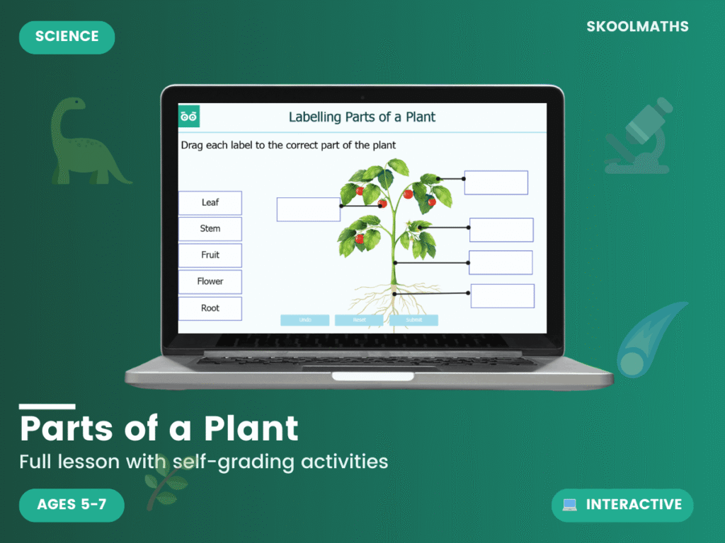 Parts of a Plant KS1: Interactive Science Lesson, Functions & Labeling Activities