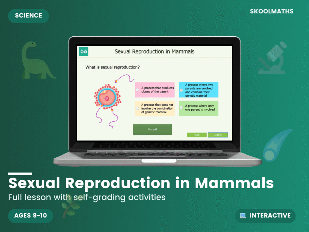 Sexual Reproduction in Mammals