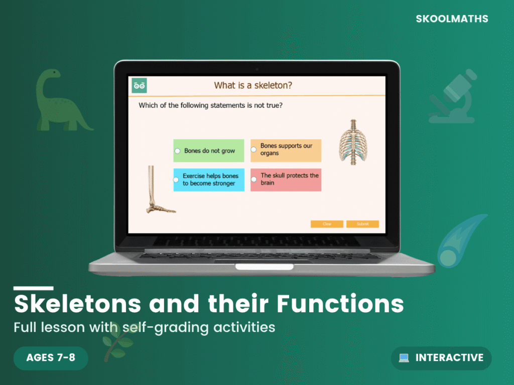 Skeletons and their Functions