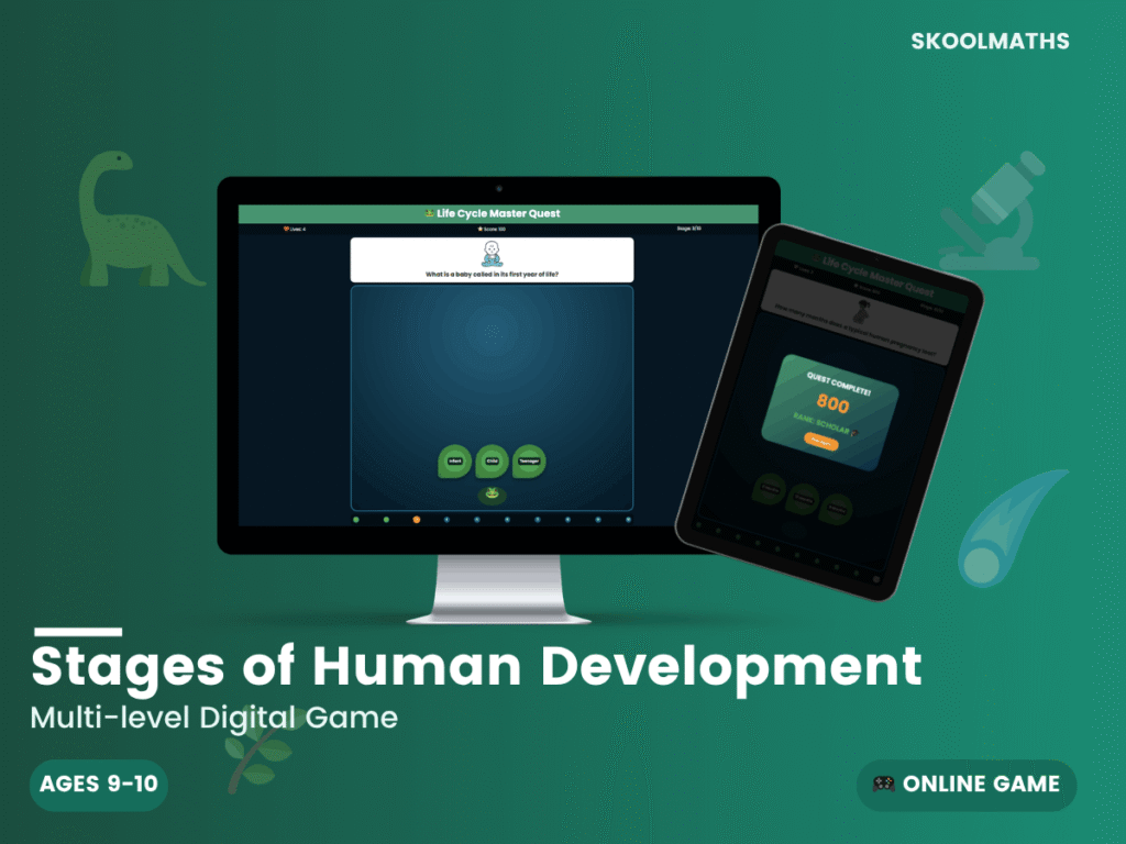 Stages of Human Development