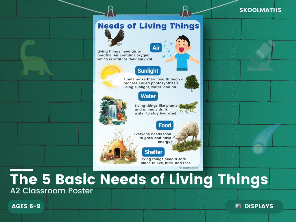 The 5 Basic Needs of Living Things