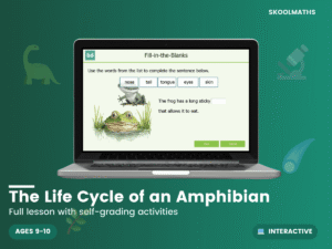 Life Cycle of an Amphibian
