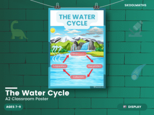 Water Cycle Process Chart