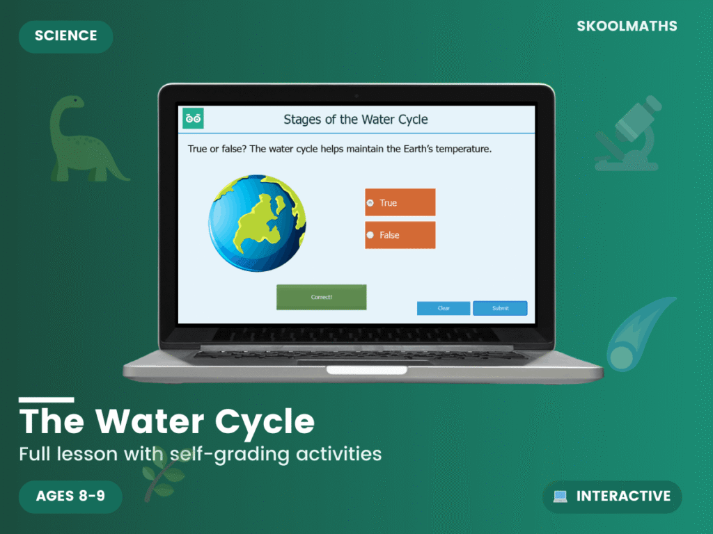 The Water Cycle