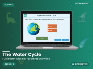 The Water Cycle