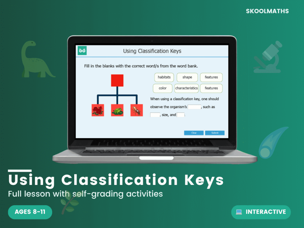 Using Classification Keys: Year 4 Science KS2 Interactive Biology Lesson & Animal Classification Activities