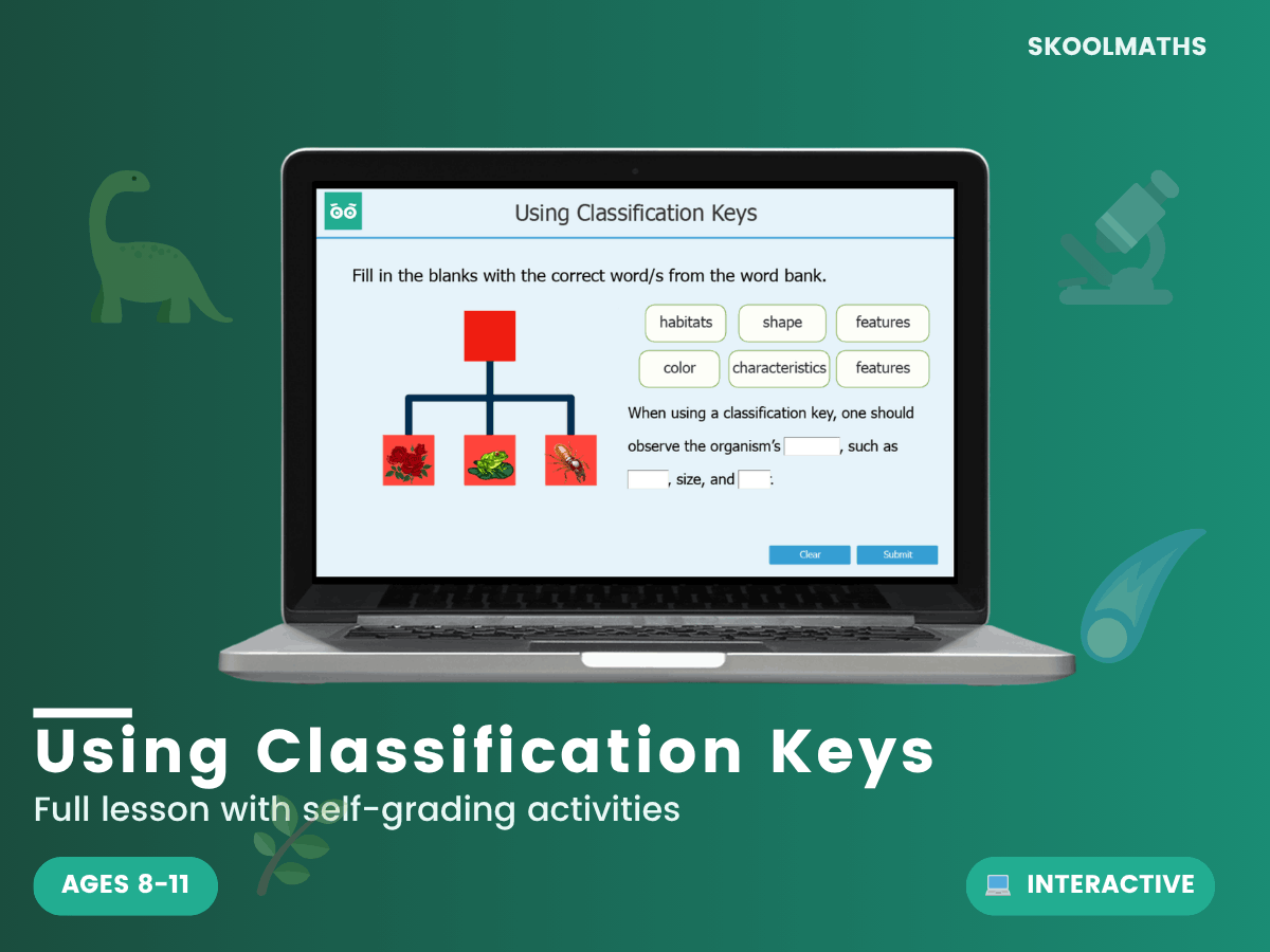 Using Classification Keys – Maths, Science & English Teaching Resources ...