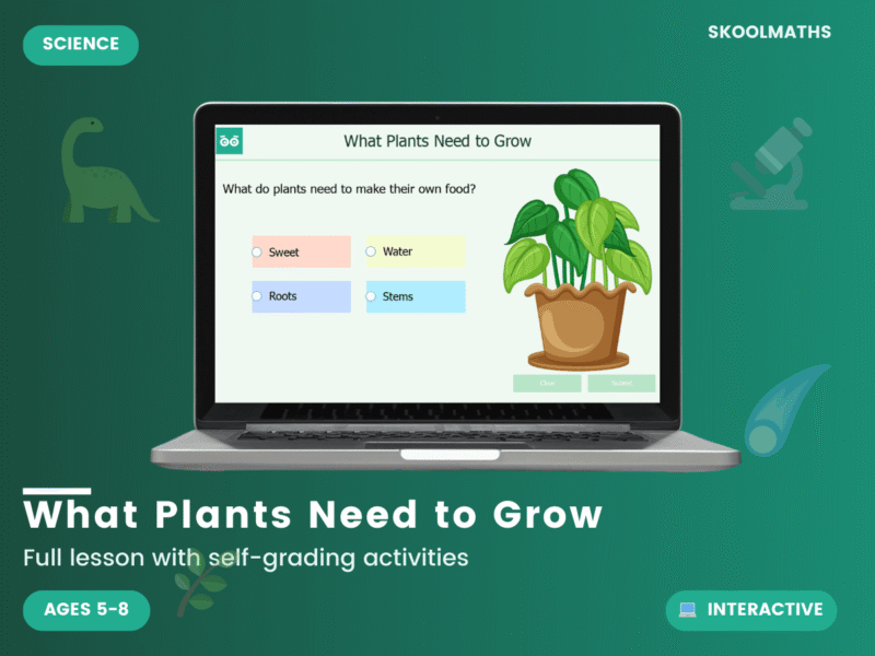 What Plants Need To Grow — Interactive Lesson (Ages 5–8) – Maths ...