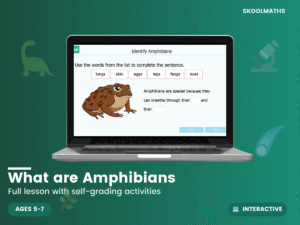 What are Amphibians?