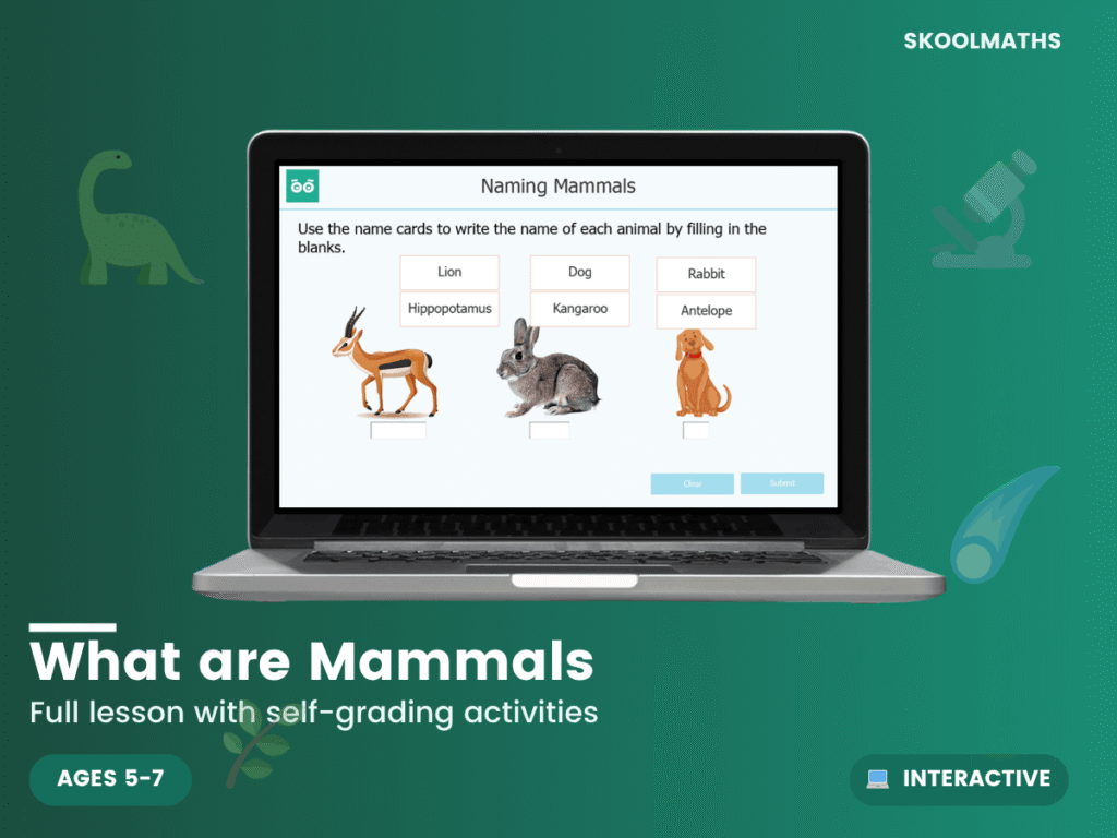 What are Mammals?
