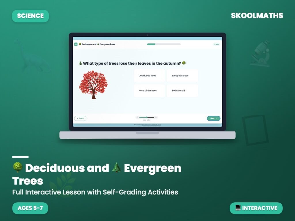 Deciduous And Evergreen Trees — Interactive Lesson (Ages 5–7)