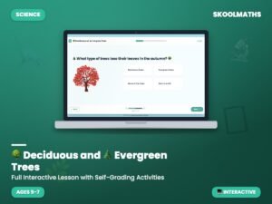 Deciduous And Evergreen Trees — Interactive Lesson (Ages 5–7)