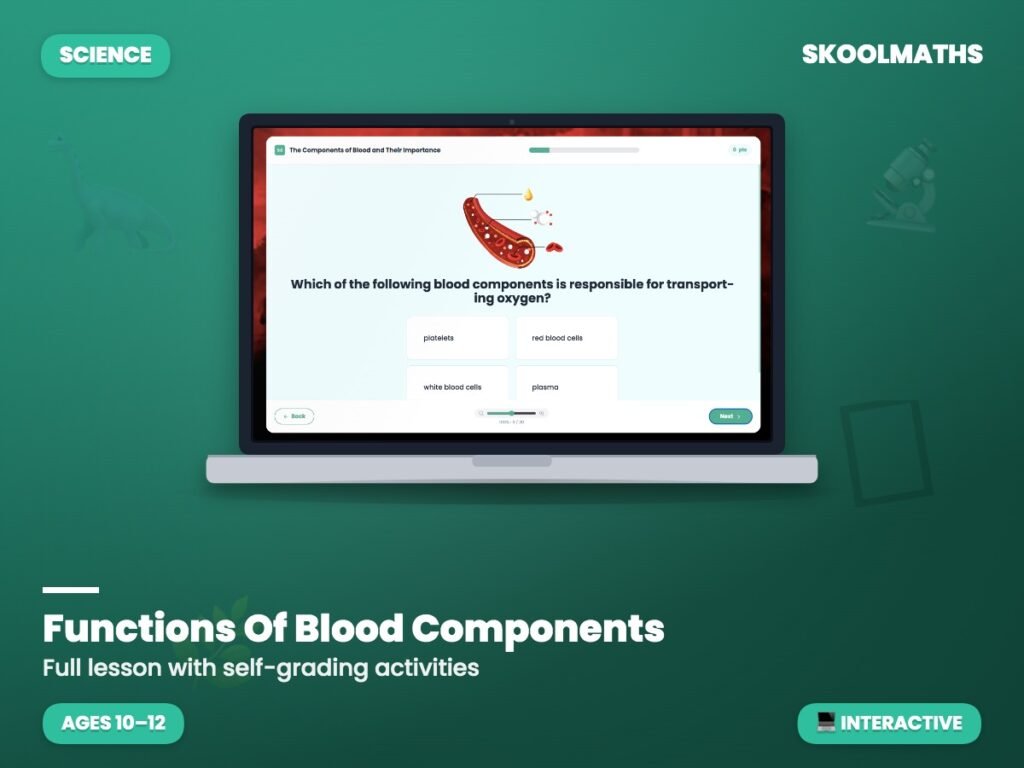 Functions Of Blood Components — Interactive Lesson (Ages 10–12)