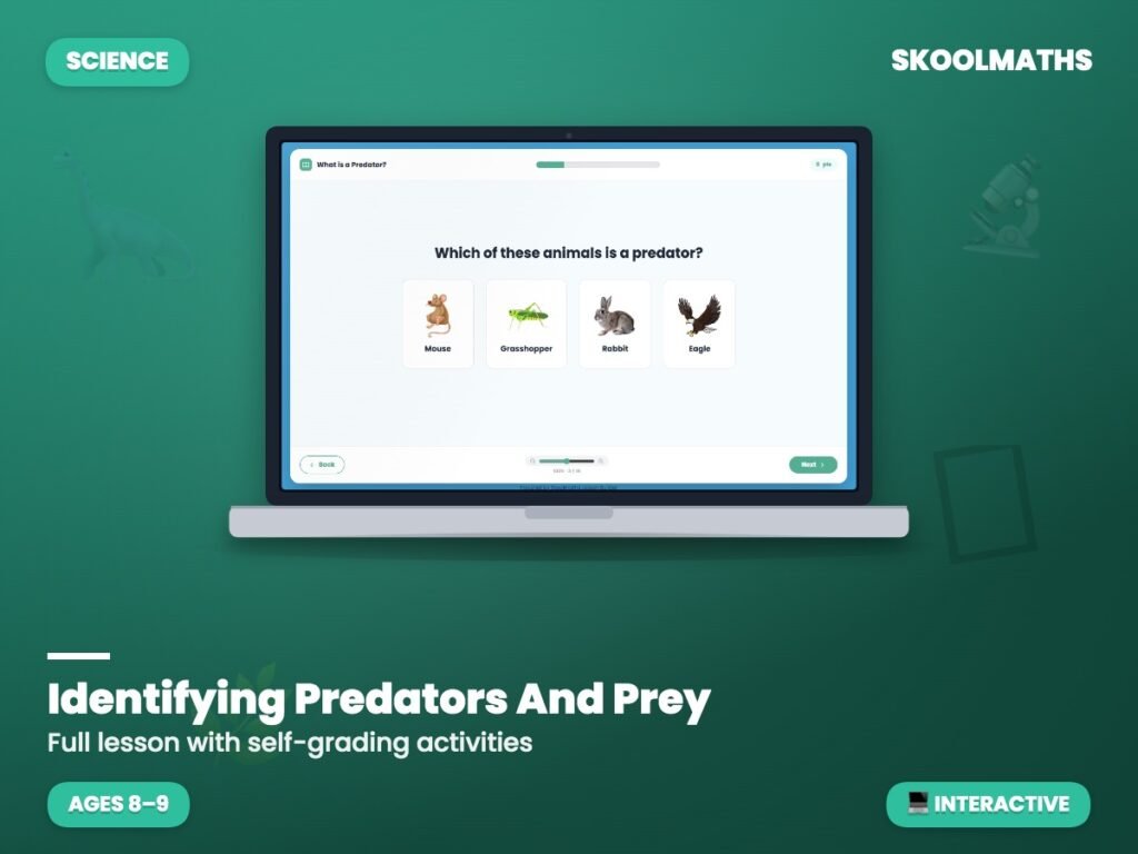 Identifying Predators And Prey — Interactive Lesson (Ages 8–9)