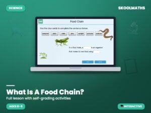 What Is A Food Chain? — Interactive Lesson (Ages 8–9)