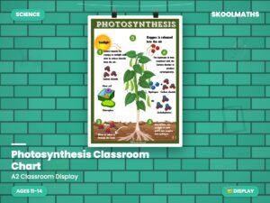 Photosynthesis Classroom Chart — Interactive Lesson (Ages 11–14)