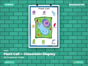 Plant Cell — Classroom Display (Ages 11–14)