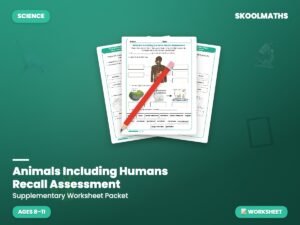 Animals Including Humans Assessment — Interactive Lesson (Ages 8–11)