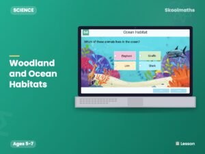 Woodland and Ocean Habitats