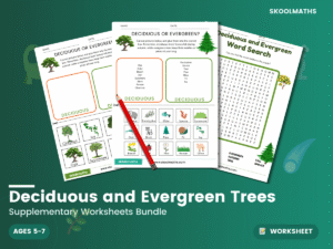 Deciduous and Evergreen Trees Worksheet Packet