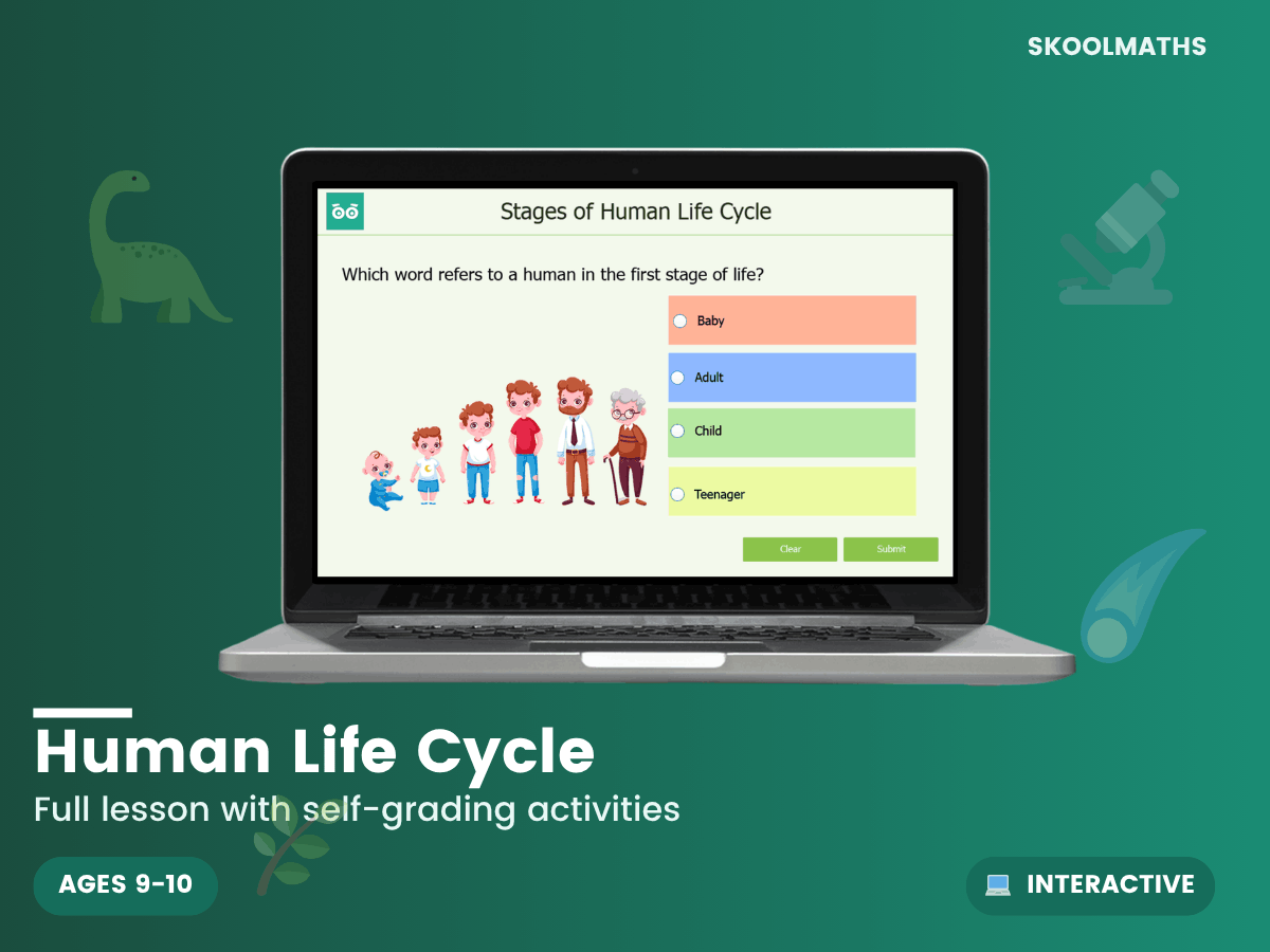 Human Life Cycle – Maths, Science & English Teaching Resources | KS1 ...