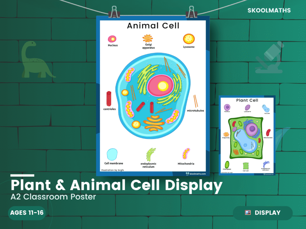 Animal Cell Classroom Display