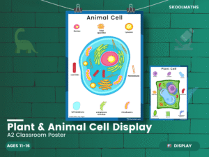 Animal Cell Classroom Display