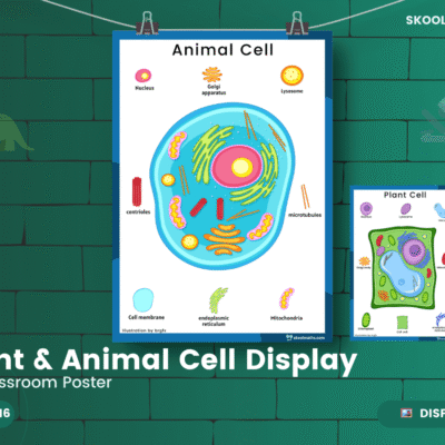 Animal Cell — Classroom Display (Ages 11–14)