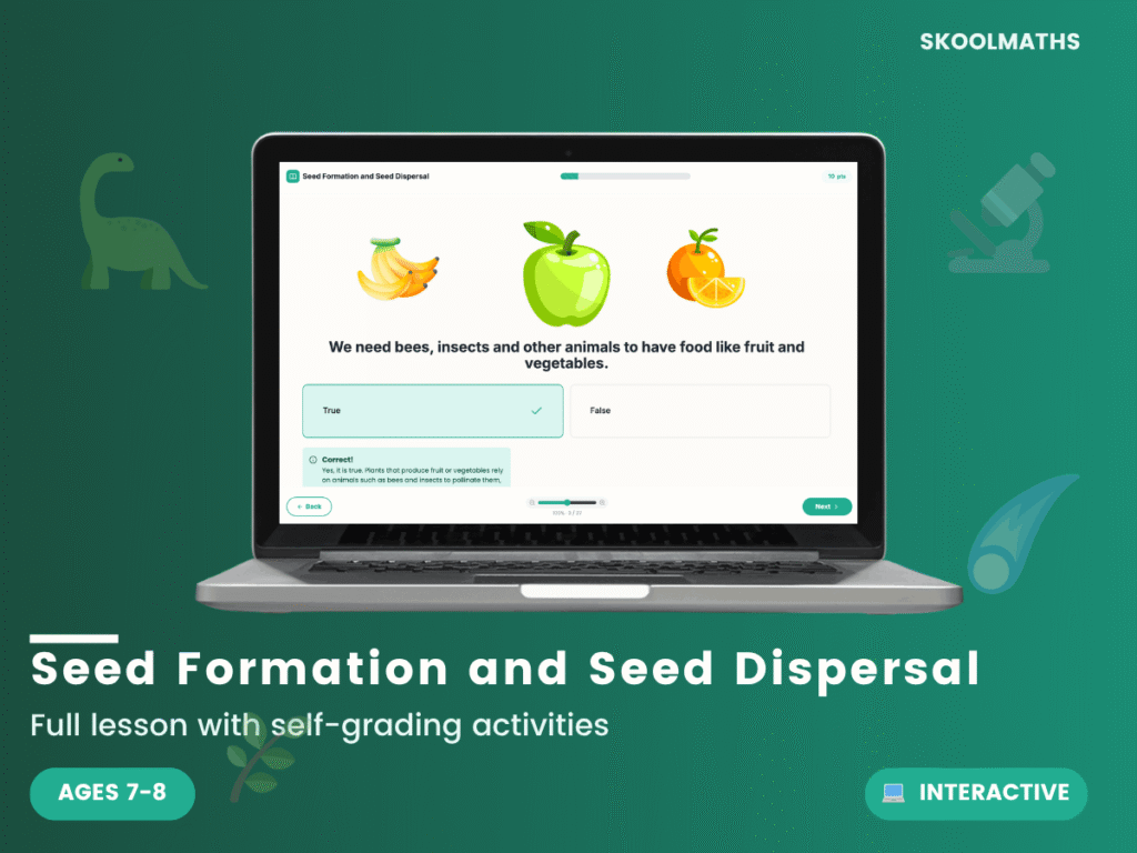 Seed Formation and Seed Dispersal
