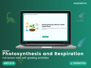 Photosynthesis and Respiration