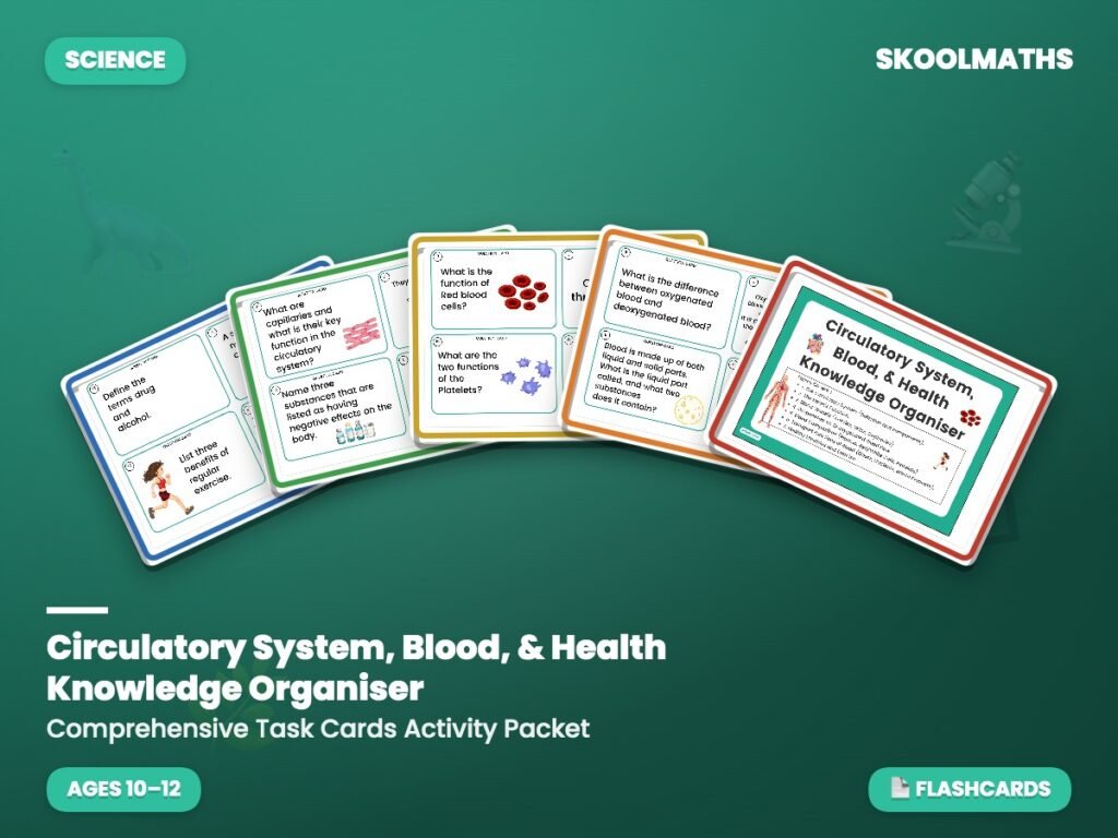 Circulatory System, Blood, & Health Knowledge Organiser Activity Packet