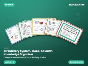 Circulatory System, Blood, & Health Knowledge Organiser Activity Packet