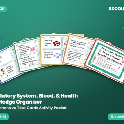 Circulatory System, Blood & Health — Knowledge Organiser Activity Packet (Year 6)
