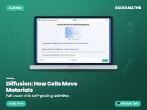 Diffusion Digital Lesson | KS3 Biology Year 7–8 Self-Marking Activity