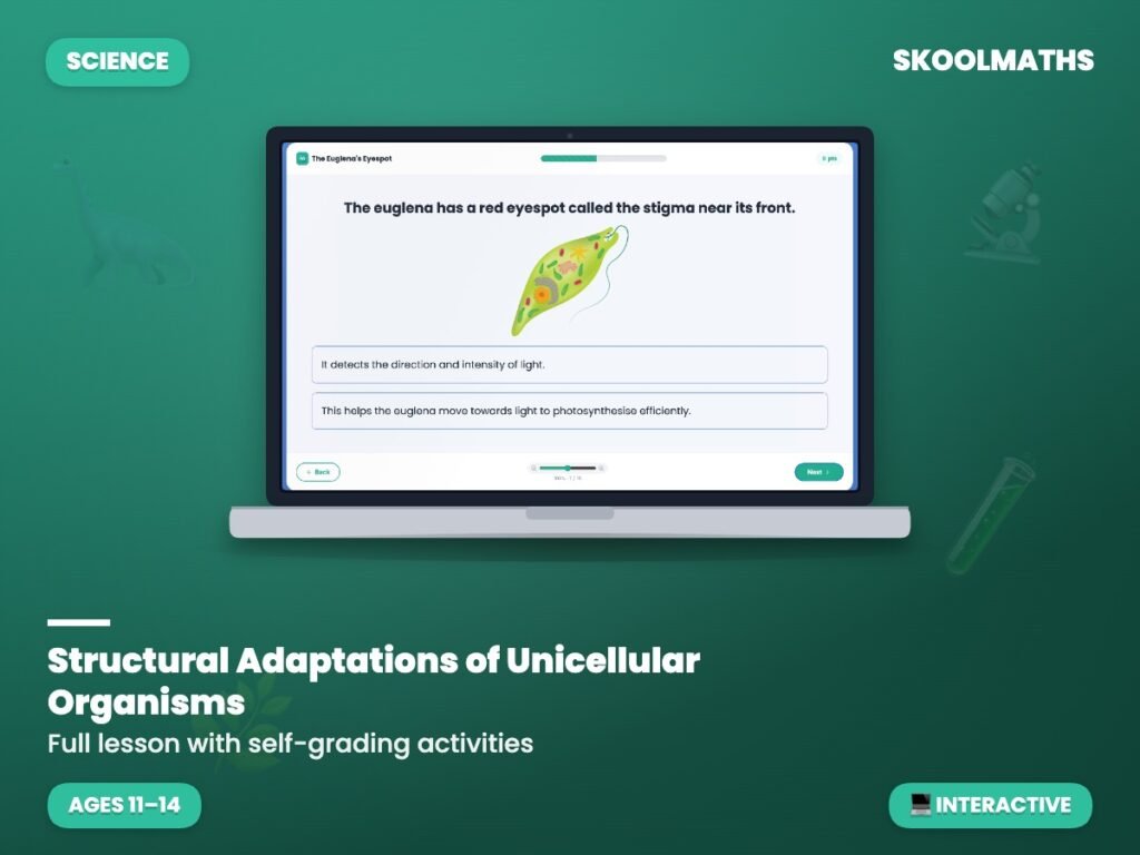 Structural Adaptations of Unicellular Organisms